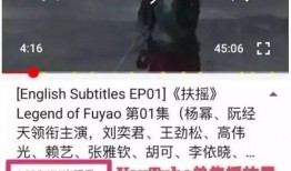 我国翻译官爆料卧底视频,我国翻译官亲述卧底经历